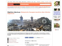 Bild zum Artikel: Ukraine: Russische Nachrichtenagentur meldet Abschuss malaysischer Passagiermaschine