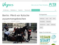 Bild zum Artikel: Berlin: Pferd vor Kutsche zusammengebrochen