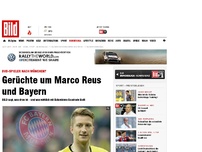 Bild zum Artikel: BILD sagt, was dran ist - Bayern-Gerüchte um Reus