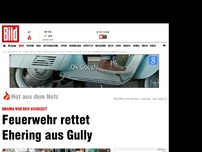 Bild zum Artikel: Drama vor der Hochzeit - Feuerwehr rettet Ehering aus Gully