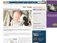 Bild zum Artikel: Bewegender Clip auf YouTube - 
Hunde-Baby kuschelt mit Säugling
