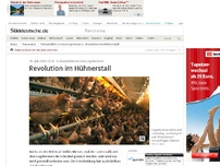 Bild zum Artikel: Schnabelkürzen von Legehennen: Revolution im Hühnerstall