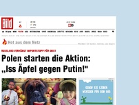 Bild zum Artikel: Russland verhängt Importstopp für Obst - Polen starten die Aktion: „Iss Äpfel gegen Putin!'