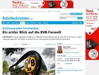 Bild zum Artikel: Ein erster Blick auf die BVB-Fanwelt