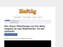 Bild zum Artikel: Wie dieser Pitbullwelpe auf das Baby reagiert ist zum Niederknien. Ist das süüüüüß!