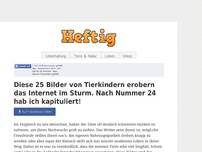 Bild zum Artikel: Diese 25 Bilder von Tierkindern erobern das Internet im Sturm. Nach Nummer 24 hab ich kapituliert!