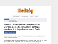 Bild zum Artikel: Diese 32 klassischen Katzenmacken werden deine Lachmuskeln schlapp machen. Ich liege immer noch flach.