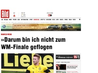 Bild zum Artikel: Marco Reus - REUS Unser WM-Sieg tat mir weh