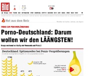 Bild zum Artikel: Trend zur Penisverlängerung - Porno-Deutschland: Darum wollen wir den LÄÄNGSTEN!