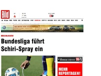 Bild zum Artikel: Beschlossen! - Bundesliga führt Schiri-Spray ein