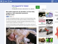 Bild zum Artikel: Man hatte Angst wie die Haustiere auf das Baby reagieren. Was tatsächlich passierte: Wunderschön! 175 RANDOMNESS