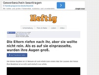 Bild zum Artikel: Die Eltern riefen nach ihr, aber sie wollte nicht rein. Als es auf sie einprasselte, wurden ihre...