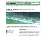 Bild zum Artikel: Rückkehr der Raubtiere: Mindestens hundert Wölfe leben in Deutschland