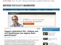 Bild zum Artikel: Ungarn attackiert EU: „Haben uns mit Sanktionen ins eigene Bein geschossen“