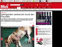 Bild zum Artikel: Unfassbar! Springreiter verbrennt Hund der Freundin