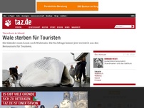 Bild zum Artikel: Tierschutz in Island: Wale sterben für Touristen