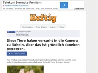 Bild zum Artikel: Diese Tiere haben versucht in die Kamera zu lächeln. Aber das ist gründlich daneben gegangen.