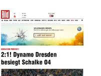 Bild zum Artikel: 2:1! Dynamo besiegt Schalke 04