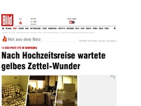 Bild zum Artikel: 14 000 Post-Its in Wohnung - Nach Hochzeitsreise wartete gelbes Zettel-Wunder