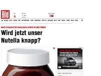 Bild zum Artikel: Schlechte Haselnuss-Ernte - Wird jetzt unser Nutella knapp?