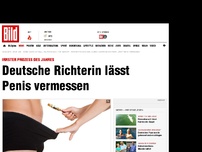 Bild zum Artikel: Skurriler Prozess - Deutsche Richterin lässt Penis vermessen