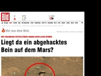 Bild zum Artikel: Weltraumfans rätseln - Liegt da ein abgehacktes Bein auf dem Mars?