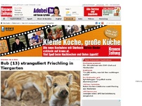 Bild zum Artikel: Bub (13) stranguliert Frischling in Tiergarten