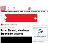 Bild zum Artikel: „Du bist süß. Willst Du Sex?“ - Raten Sie mal, wie dieses Experiment ausgeht