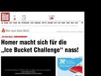 Bild zum Artikel: „Ist das kalt, brrrrrrr“ - Homer bibbert für die „Ice Bucket Challenge“!