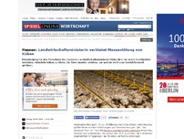 Bild zum Artikel: Hessen: Landwirtschaftsministerin verbietet Massentötung von Küken