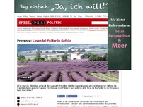 Bild zum Artikel: Provence: Lavendel-Felder in Gefahr
