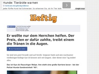 Bild zum Artikel: Er wollte nur dem Herrchen helfen. Der Preis, den er dafür zahlte, treibt einem die Tränen in...