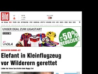 Bild zum Artikel: Ein echter Dumbo-Jet - Elefant in Kleinflugzeug vor Wilderern gerettet