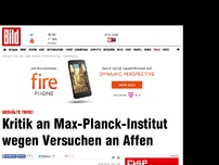 Bild zum Artikel: Gequälte Tiere! - Affen-Versuche am Max-Planck-Institut?