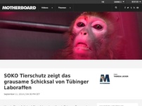 Bild zum Artikel: SOKO Tierschutz zeigt das grausame Schicksal von Tübinger Laboraffen