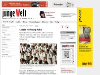 Bild zum Artikel: Ebola-Epidemie in Westafrika außer Kontrolle. Havanna schickt Ärzte und Pfleger
