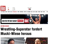 Bild zum Artikel: Antonio Cesaro - Wrestling-Superstar fordert Tim Wiese heraus