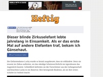 Bild zum Artikel: Dieser blinde Zirkuselefant lebte jahrelang in Einsamkeit. Als er das erste Mal auf andere...