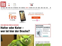 Bild zum Artikel: Irres Umstyling - Halter oder Kater – wer ist hier der Drache?