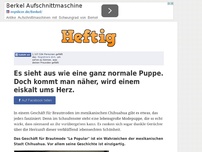 Bild zum Artikel: Es sieht aus wie eine ganz normale Puppe. Doch kommt man näher, wird einem eiskalt ums Herz.