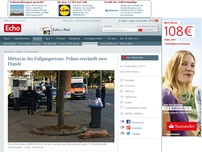 Bild zum Artikel: Mitten in der Fußgängerzone: Polizei erschießt zwei Pitbulls