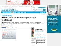 Bild zum Artikel: Marco Reus nach Verletzung wieder im Lauftraining
