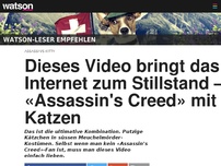 Bild zum Artikel: Dieses Video bringt das Internet zum Stillstand – «Assassin's Creed» mit Katzen