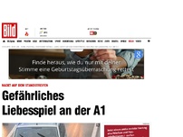 Bild zum Artikel: Gefährliches Liebesspiel an der A1