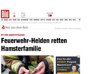 Bild zum Artikel: Kein Leben ist zu klein - Feuerwehr-Helden retten Hamsterfamilie