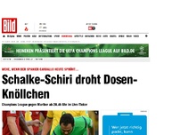 Bild zum Artikel: Wegen Freistoß-Spray - Schalke-Schiri droht Dosen-Knöllchen