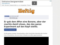 Bild zum Artikel: Er gab dem Affen eine Banane, aber der machte damit etwas, dass das ganze Experiment auf den...