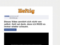 Bild zum Artikel: Dieses Video zerstört sich nicht von selbst. Gott sei dank, denn ich MUSS es immer wieder schauen.