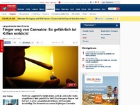 Bild zum Artikel: Langzeitstudie über 20 Jahre - Finger weg von Cannabis: So gefährlich ist Kiffen wirklich!
