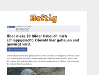 Bild zum Artikel: Über diese 30 Bilder habe ich mich schlappgelacht. Obwohl hier gehauen und gewürgt wird.